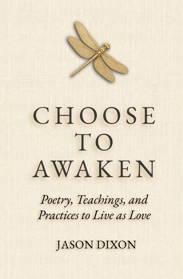 Choose to Awaken book cover